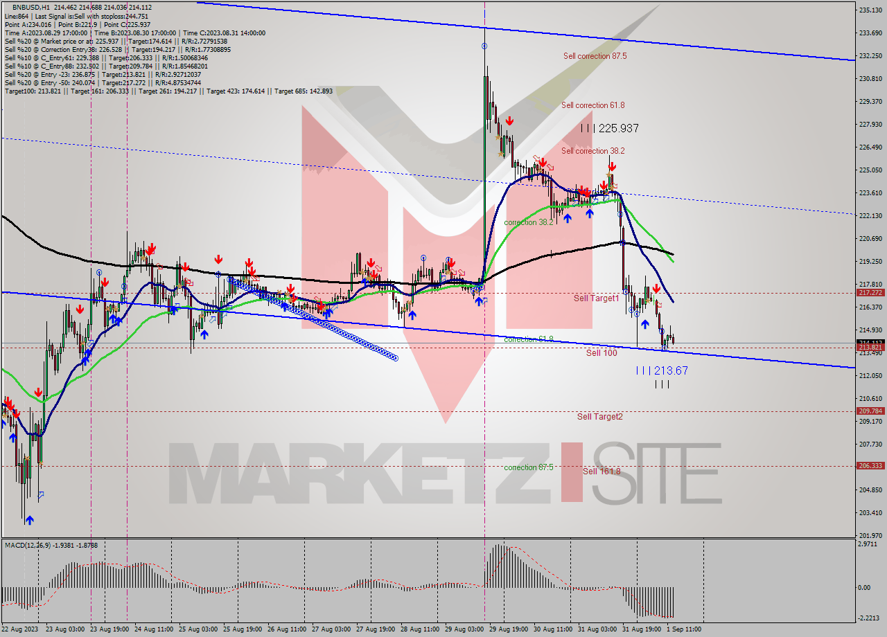 BNBUSD H1 Analysis BNBUSD H1 Signal