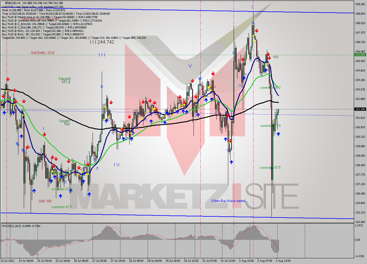 BNBUSD H1 Signal