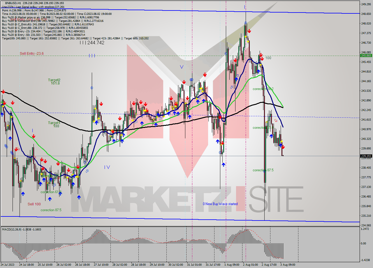 BNBUSD H1 Signal