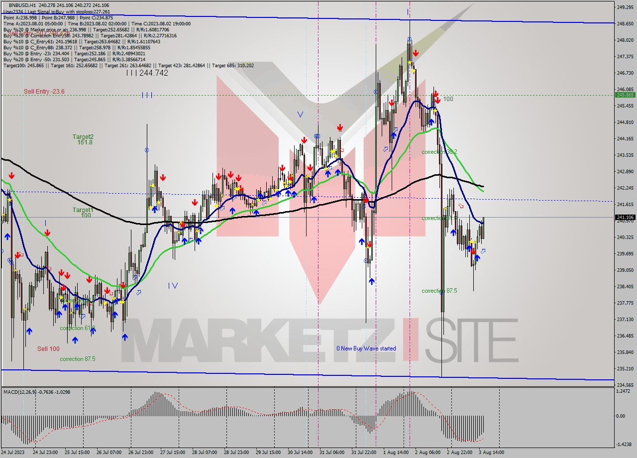 BNBUSD H1 Signal