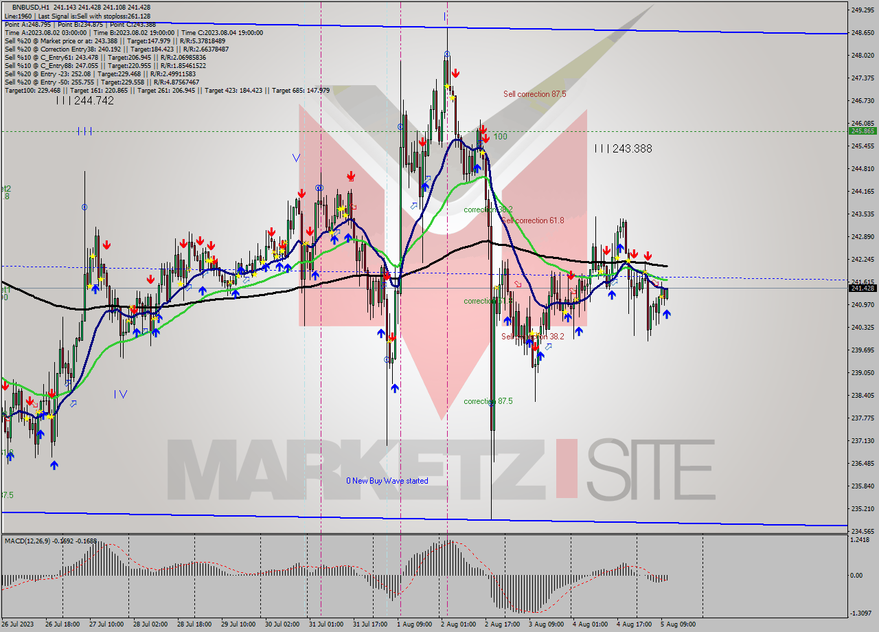 BNBUSD H1 Signal