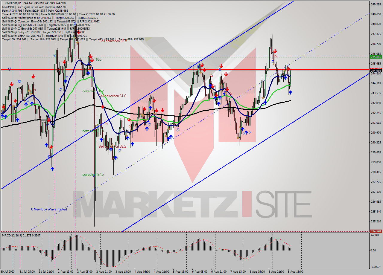BNBUSD H1 Analysis BNBUSD H1 Signal