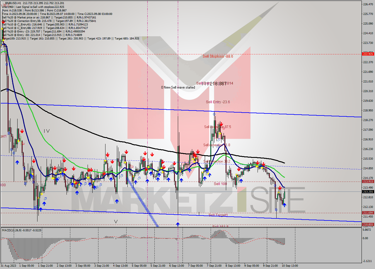 BNBUSD H1 Signal