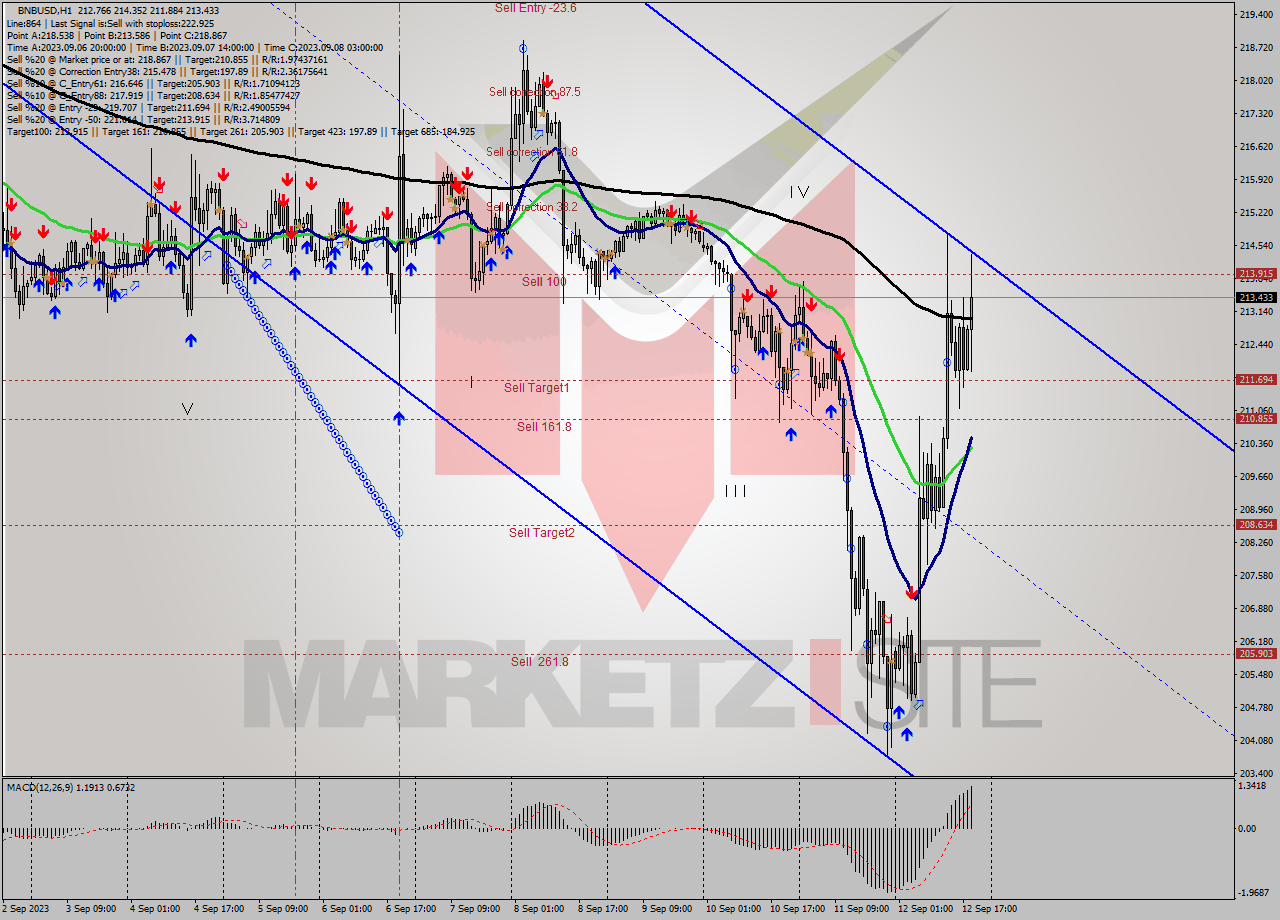 BNBUSD H1 Signal