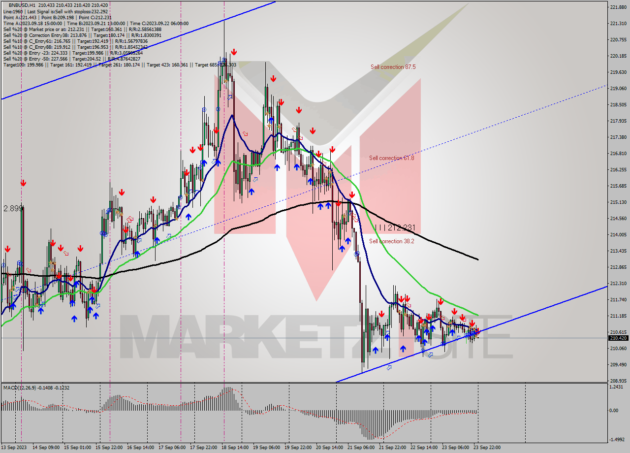 BNBUSD H1 Signal