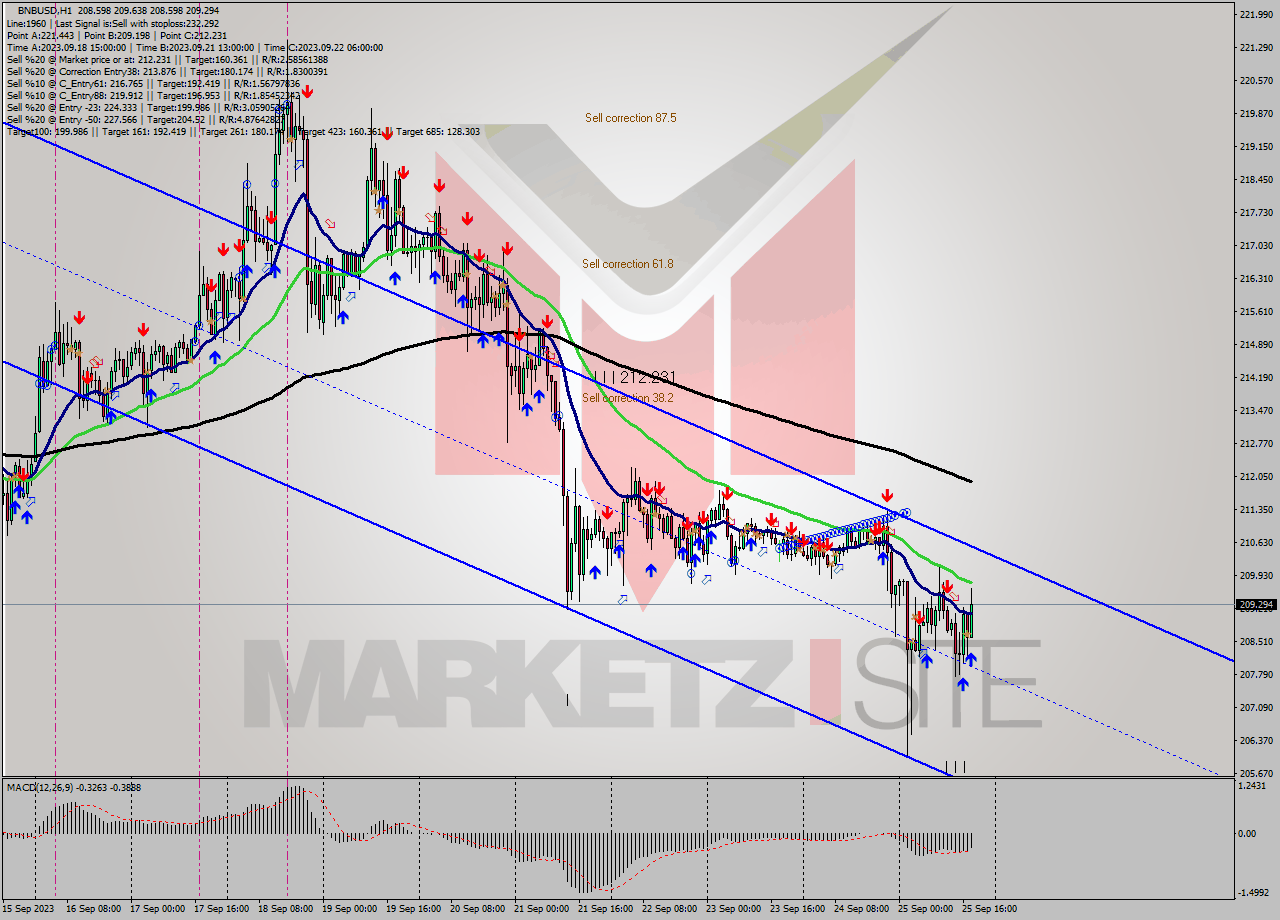 BNBUSD H1 Signal
