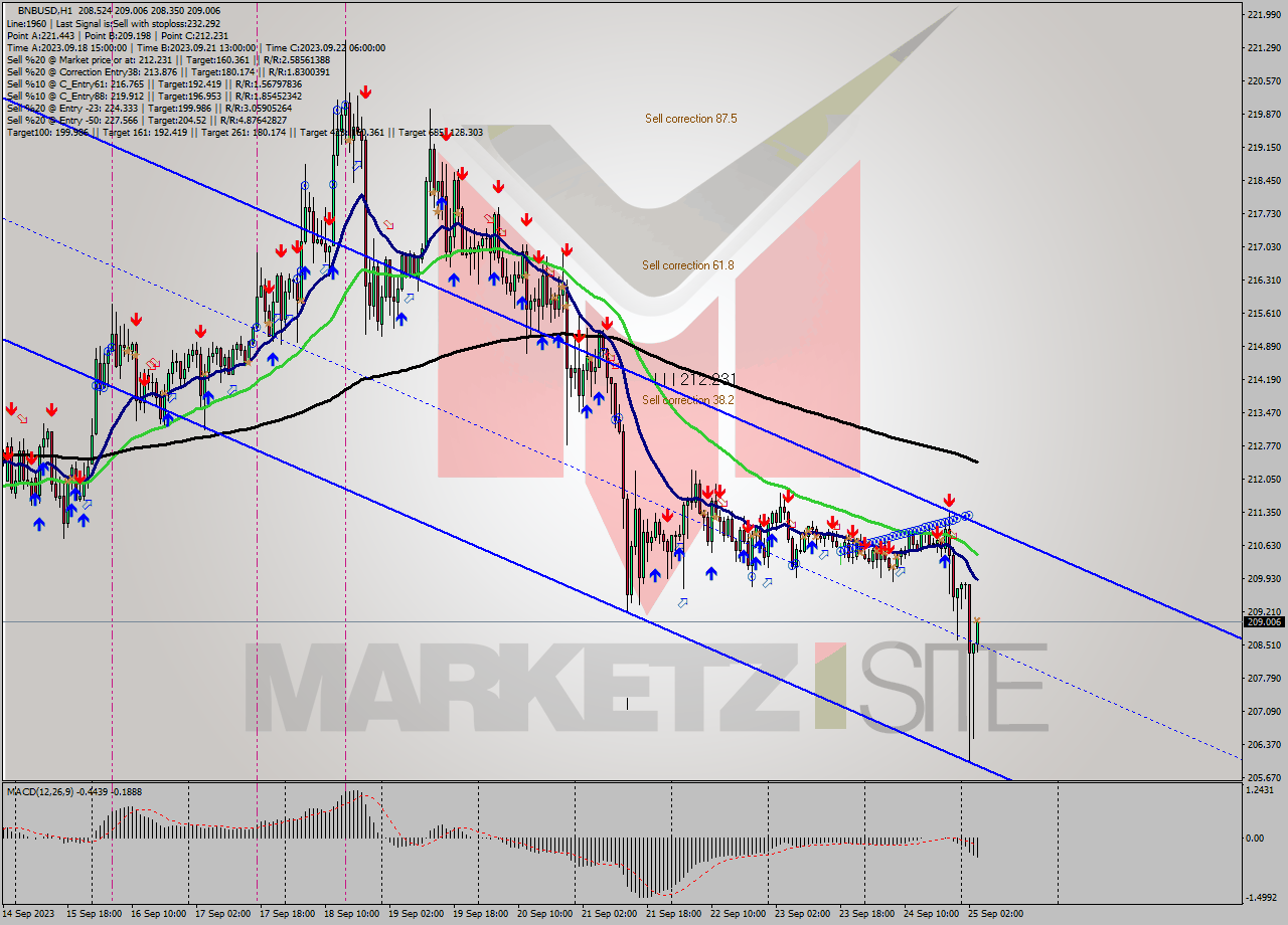 BNBUSD H1 Signal