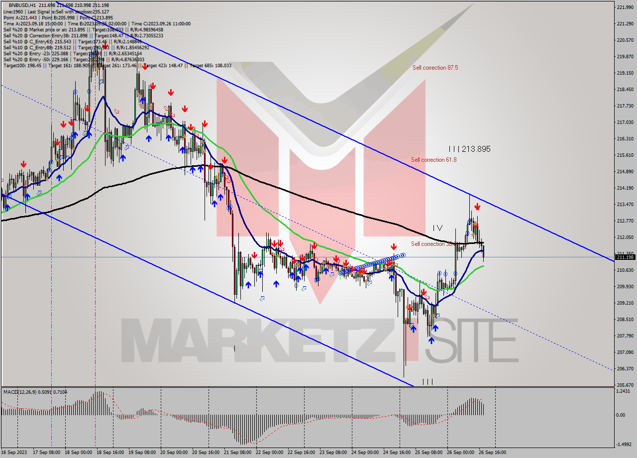 BNBUSD H1 Analysis BNBUSD H1 Signal
