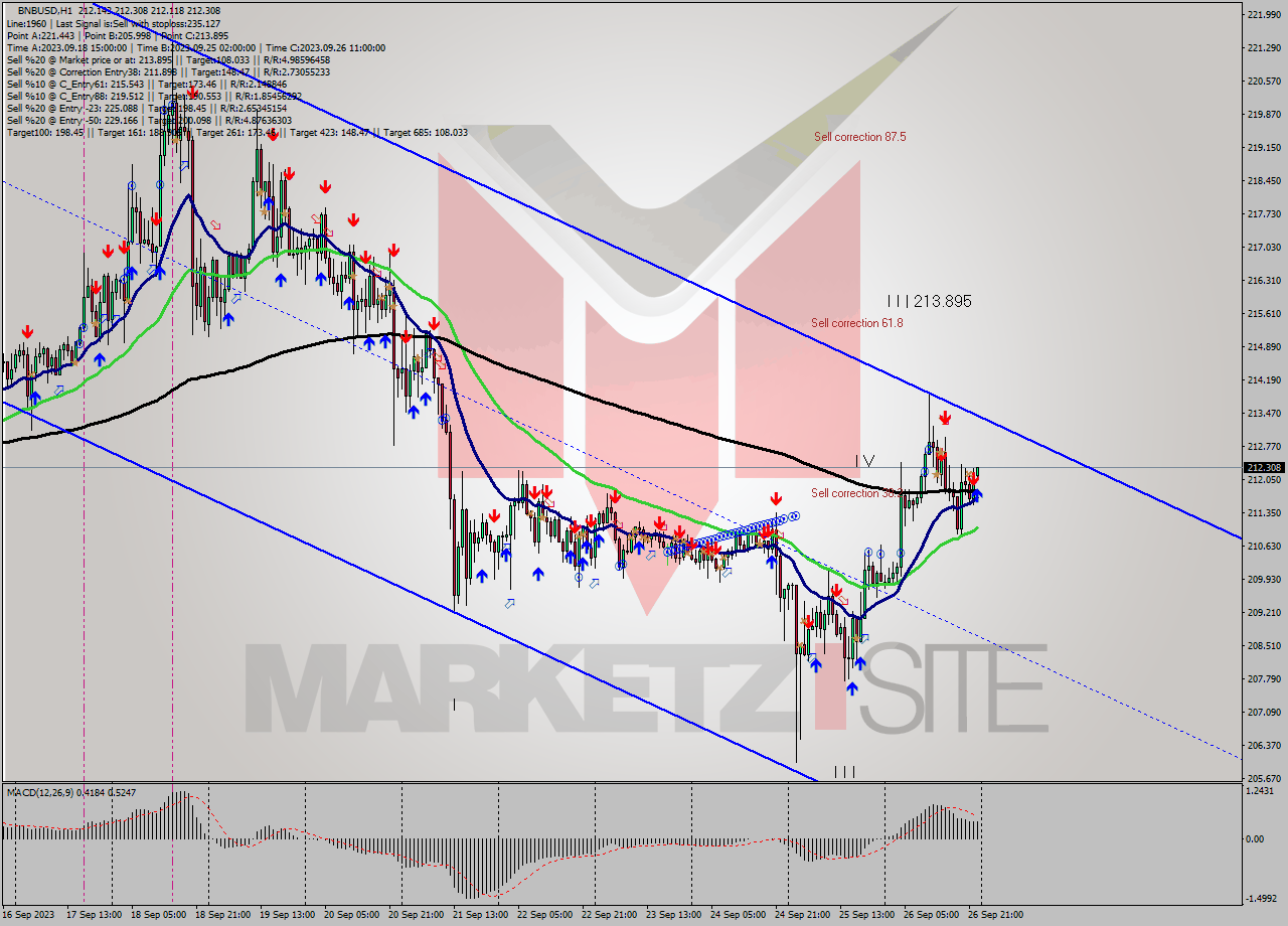 BNBUSD H1 Analysis BNBUSD H1 Signal