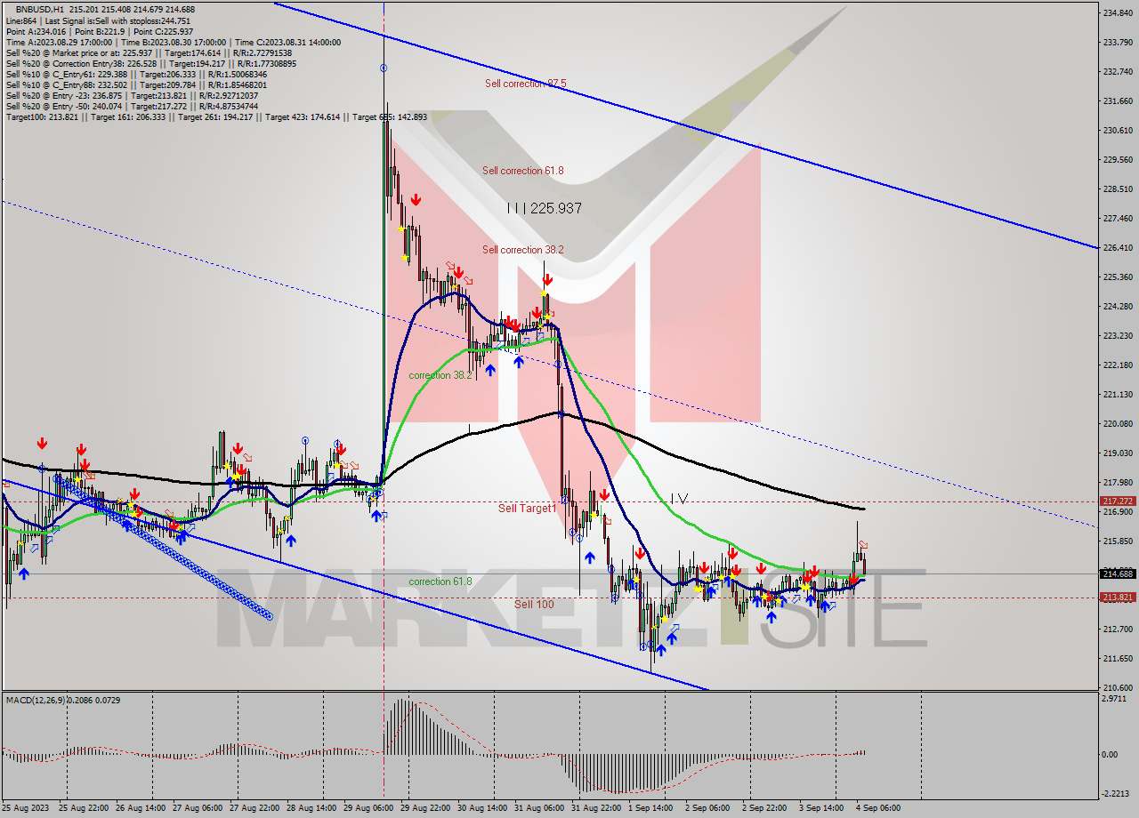 BNBUSD H1 Signal