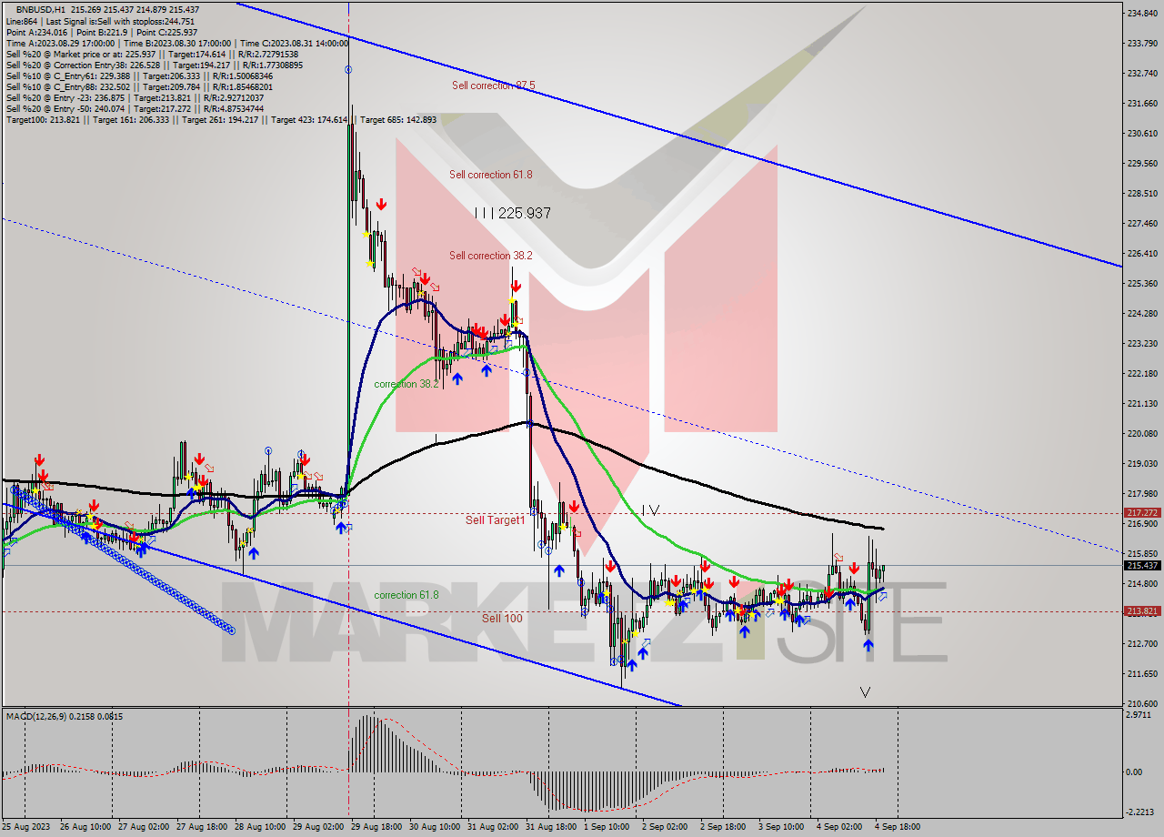 BNBUSD H1 Signal