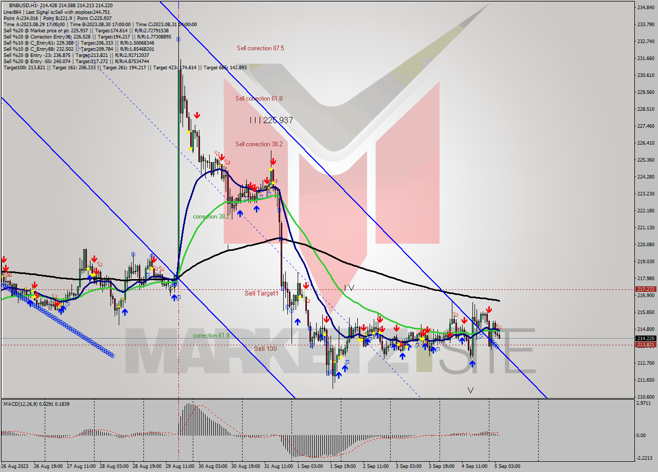 BNBUSD H1 Signal