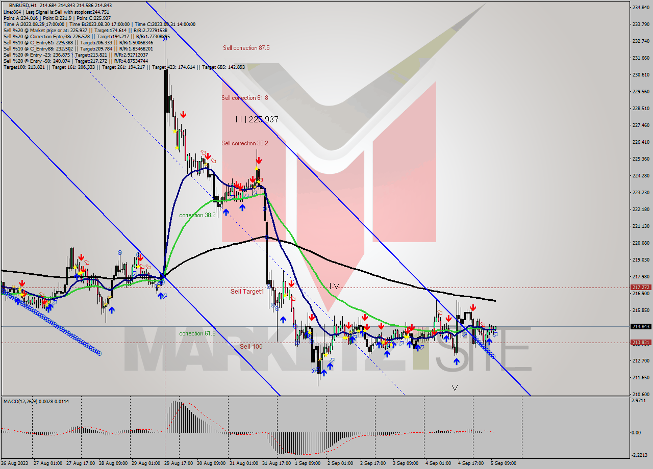 BNBUSD H1 Signal