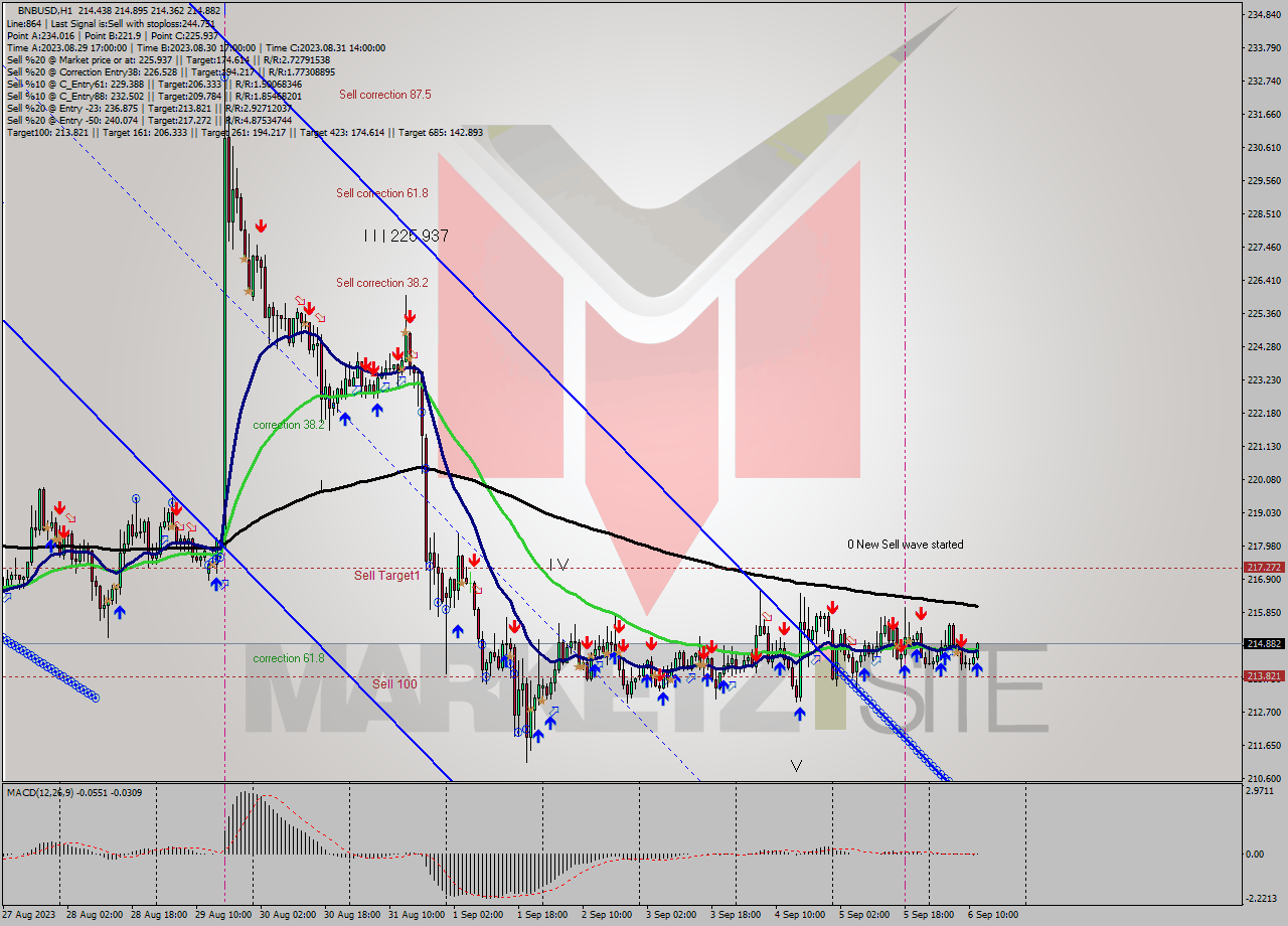 BNBUSD H1 Signal