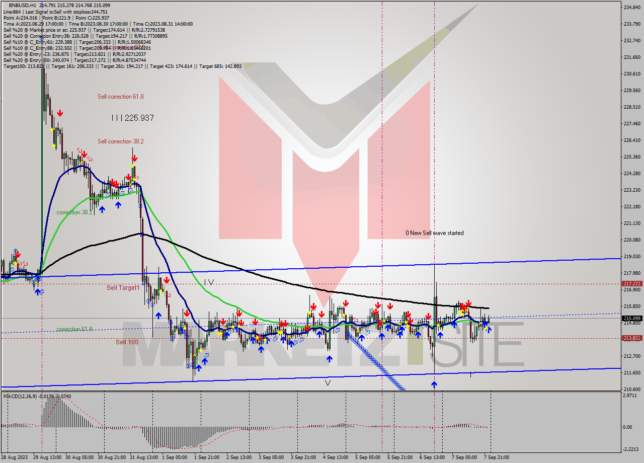BNBUSD H1 Signal