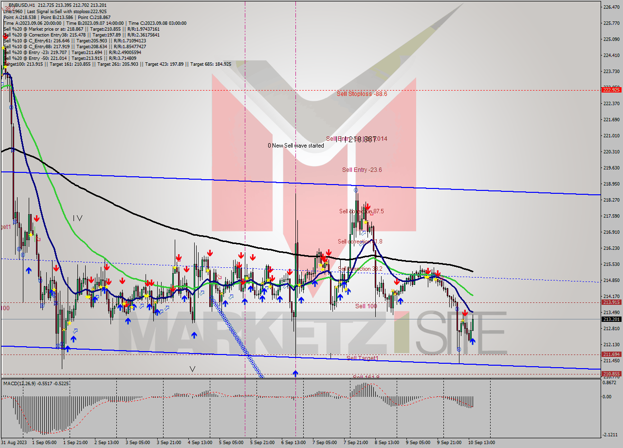 BNBUSD H1 Analysis BNBUSD H1 Signal