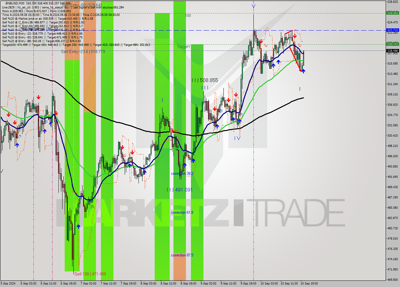 BNBUSD M30 Analysis BNBUSD M30 Signal